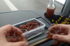 IMG-20190203-WA0009