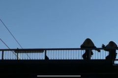 IMG-20210110-WA0014